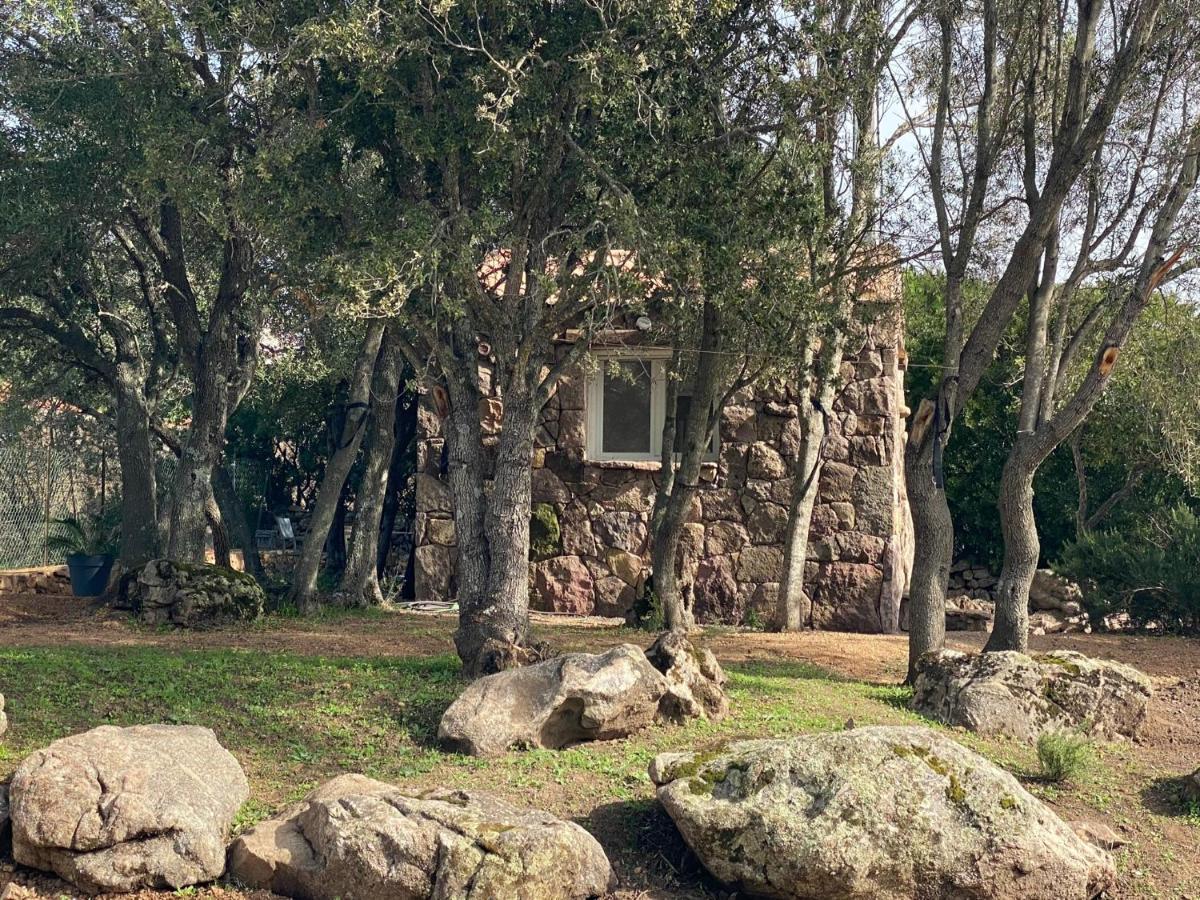 U Caseddu Sartène Εξωτερικό φωτογραφία
